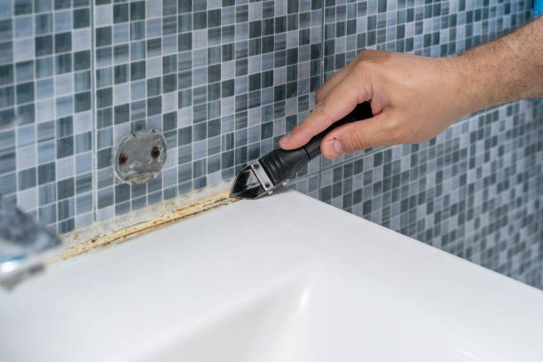 Best Bathroom Mold Remediation in Petersburg, IL